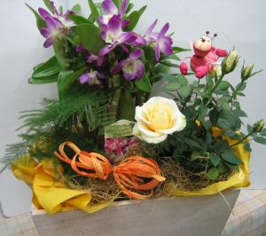 ✿春色のお花たち✿｜「花曜日」　（奈良県橿原市の花キューピット加盟店 花屋）のブログ