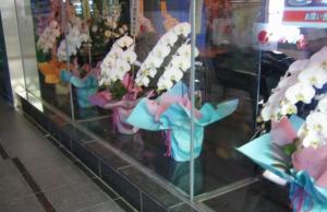 胡蝶蘭40鉢納品してきました｜「花曜日」　（奈良県橿原市の花キューピット加盟店 花屋）のブログ