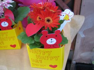くまさんボックスのミニガーベラ✿｜「花曜日」　（奈良県橿原市の花キューピット加盟店 花屋）のブログ