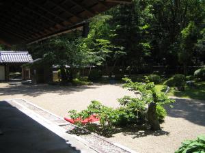 今日の奈良は　晴～♪♪♪｜「花曜日」　（奈良県橿原市の花キューピット加盟店 花屋）のブログ