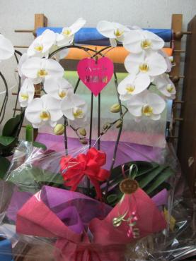 ハート(*￣ー￣*)｜「花曜日」　（奈良県橿原市の花キューピット加盟店 花屋）のブログ