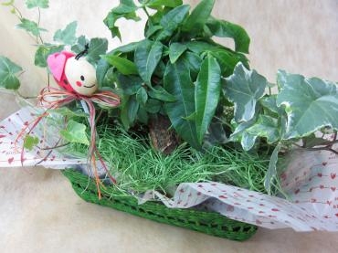 暑くなると・・・｜「花曜日」　（奈良県橿原市の花キューピット加盟店 花屋）のブログ