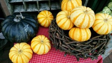 かぼちゃ♪｜「花曜日」　（奈良県橿原市の花キューピット加盟店 花屋）のブログ