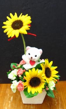 お誕生日のお花｜「花曜日」　（奈良県橿原市の花キューピット加盟店 花屋）のブログ