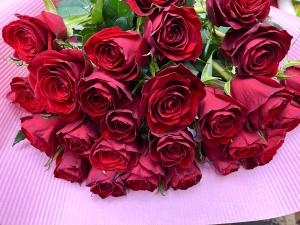 プロポーズ用の赤薔薇の花束｜「花曜日」　（奈良県橿原市の花キューピット加盟店 花屋）のブログ